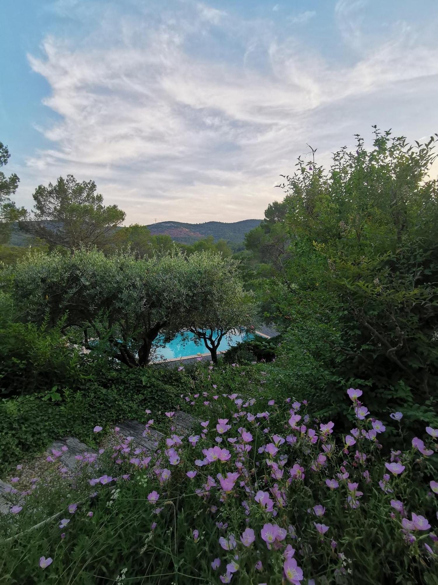 Bed and Breakfast Bastide Saint Bernard à Le Thoronet Extérieur photo